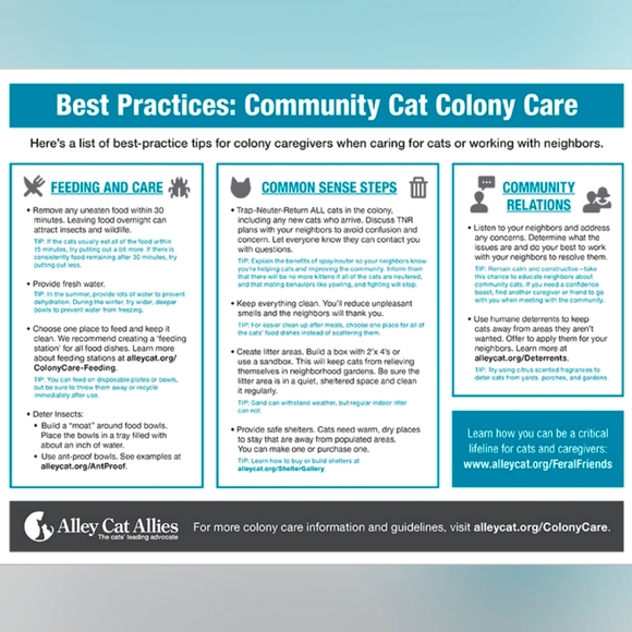 Kitty Colony,  Feral, Stray Care and TNR Guidelines - Picture 3 of 4